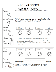 Apple Experiemtn Scientific Method Pdf Google Drive First Grade Science Science Worksheets Science Lessons
