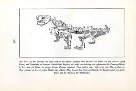 Image result for Pareiasaurus