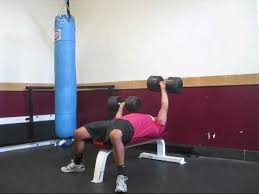Alternating Dumbbell Bench Press With Isometric Hold Exercise Com