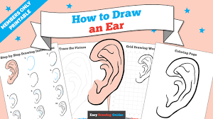 This exotic wildcat, the lynx, ranges from gorgeous to scary. How To Draw An Ear Really Easy Drawing Tutorial
