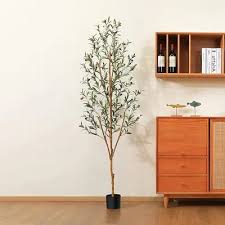 Selected Olive Treee