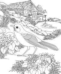 Share a photo of your completed coloring sheet(s) on your social media accounts using #resilientwisconsin! Wisconsin Robin Coloring Page Purple Kitty Bird Coloring Pages Garden Coloring Pages Animal Coloring Pages