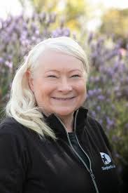 Headshots — Meghan Ford Photography