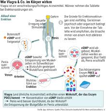 Wirkung Und Gefahren Von Viagra Das Blaue Wunder Fur Den Mann Wissen Stuttgarter Nachrichten