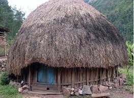 35 Rumah Adat Indonesia Gambar Dan Penjelasannya Lengkap 34 Provinsi The Book