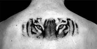 40 Tiger Eyes Tattoo Designs For Men Realistic Animal Ink Ideas Tiger Eyes Tattoo Tattoo Designs Men Tiger Eye Tattoo Design