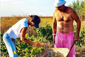 Γιώργος λιάγκας για στέλιο ρόκκο: Stelios Rokos Lele Gkofa Mazeyoyn Ta Stafylia Toys