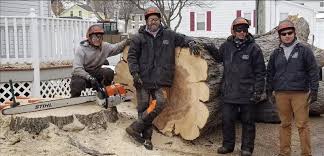 Home remodeling, wedding planning, wedding catering Jason S Five Star Landscape Design L L C Watertown Wi