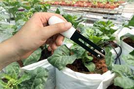 How To Raise Or Lower Soil Ph In Organic Gardening Healthy Garden Soil Organic Gardening Healthy Garden