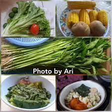 We did not find results for: Melonjaknya Harga Sayuran Segar Apakah Memengaruhi Pola Makan Sehat Bulan Ramadan Halaman 1 Kompasiana Com