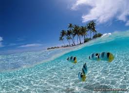 Yang membedakannya dengan air tawar adalah airnya mengandung garam, oleh karena tingkat kandungan garam pada air laut disebut dengan salinitas. Apa Sebenarnya Punca Air Laut Menjadi Masin Sentiasa Panas