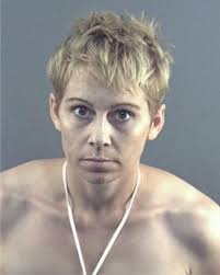 ᐅ Illinois Criminal Records 2009-2025