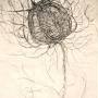 Profile Picture of Rohini Devasher | 1 Artworks for Sale on MutualArton Google