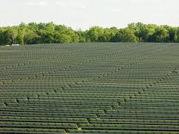 Jansen: Listen to farmers when it comes to local siting