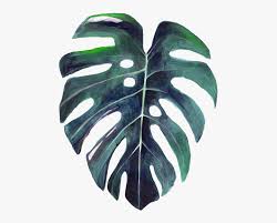Watercolor palm tree leaves set. Watercolor Leaves Png Watercolor Palm Leaf Png Free Transparent Clipart Clipartkey