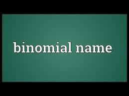 See if you can identify, select and pinpoint these words based on their nearly equivalent terms! Steuererklarung Dienstreisen Constitute Synonym