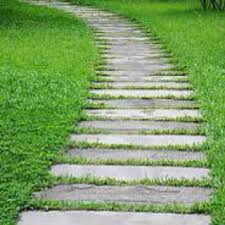 Pin By Monica Sykora On Oh The Garden Desert Landscaping Backyard Stone Path Farmhouse Landscaping