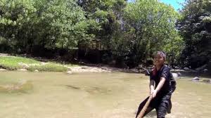 Located beside the sungai tua recreational forest, near ulu yam and only 15 minute from batu cave, selangor. Nur Laman Bestari Ulu Yam Youtube