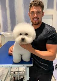 Best dining in eagan, minnesota: Pet Spa Essex Luxury Dog Grooming In Brentwood Essex Pet Shop Pet Spa Dog Groomers