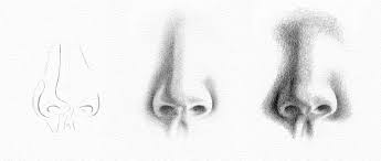 So lets begin this tutorial on how to draw a nose by going over the different part of the nose. Pencil Portrait Drawing How To Draw A Nose