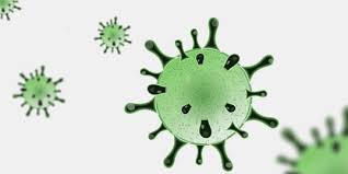 El ácido nucleico es el genoma viral, ubicado en el interior de la partícula, y puede ser adn o arn. Gli Occhi E In Particolare La Congiuntiva Sono Una Diretta Porta Di Ingresso Per Il Coronavirus Mvm