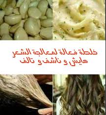 خلطة فعالة لمعالجة الشعر هايش وناشف و تالف مش هتندمي لو جربتيها Food Chicken Meat