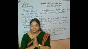 Maybe you would like to learn more about one of these? Animal Cell Culture And Applications Lect5 Class 12 Biotechnology Youtube