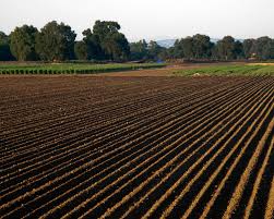 Bruxelles verso lo scontro d’autunno sui sussidi agricoli: nel mirino le grandi aziende