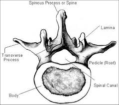 6 different views demonstrated with the rotation step of 45°. The Spine Embodiment Etudes