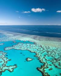Great Barrier Reef Australia Great Barrier Reef Barrier Reef Australia Travel Photography