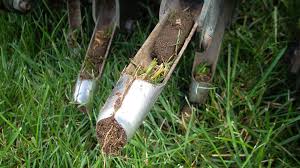 Check spelling or type a new query. Weekly Lawn Maintenance Local Landscaper Battle Creek Mi
