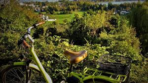 Radinsel Lindau Tourismus