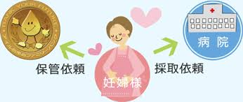 「民間臍帯血」の画像検索結果