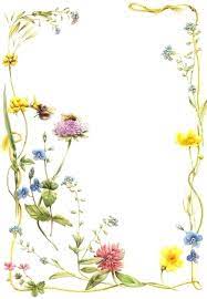 Summer Frame Flower Frame Cherry Blossom Wall Art Pressed Flower Art