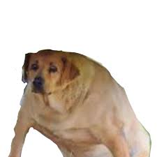 Fat dog — como atlanta 01:31. Fat Dog Pnglib Free Png Library