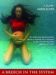 Watch A Breech In The System Prime Video