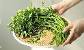Minari is a vegetable known as korea's water celery or watercress. Energy Boosting Seasonal Vegetables Signal Spring S Arrival Korea Net Mobile Site