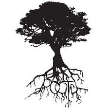 Oak Roots Wall Decals Dezign With A Z Tree Images Roots Tattoo Tree Tattoo