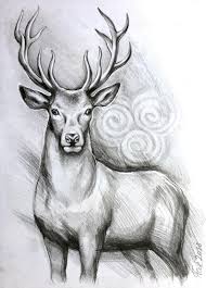 Original Deer Art Stag Pencil Drawing Graphite Home Decor Etsy Deer Art Deer Drawing Pencil Drawings Of Animals