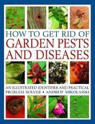 Tips and inspiration to get growing. How To Get Rid Of Garden Pests And Diseases Andrew Mikolajski Author 9781846818264 Blackwell S