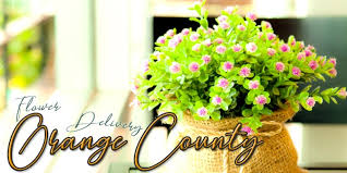 Funeral flowers delivery dimond & shannon mortuary garden. The 13 Best Options For Flower Delivery In Orange County 2021