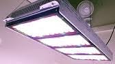 Viewsonic, christie digital, hitachi, sanyo, eiki, vivitek Unboxing Advanced Led Lights Diamond Series Xml 350 Led Grow Light Youtube