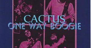 Ultra sonic boogie year of release: Cactus Giginjapan