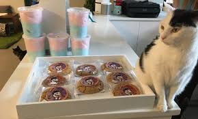 The city's first cat cafe (and the nation's second ), meow parlour , will open its doors on december 15th at 46 hester st. The Yale Politic Frisky Business Cat Cafes Pounce On New Markets