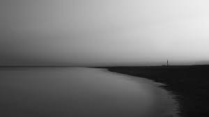 Check spelling or type a new query. Black White Hd Wallpaper 1920x1080 Id 37367 Wallpapervortex Com