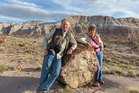 Check spelling or type a new query. Petrified Forest National Park Rv Trip Magic In Jasper Forest Roads Less Traveled