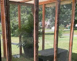 Let's look at chicken wire, the benefits and drawbacks. Cat Enclosures