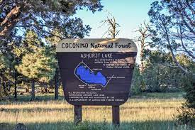 Rv parks in flagstaff sit close to the northern arizona section of. Az Camp Guide Marshall Lake