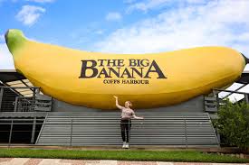 You can fly from sydney and brisbane with qantas, tiger air or virgin. One Day In Coffs Harbour For Adults Without Kids A Globe Well Travelled