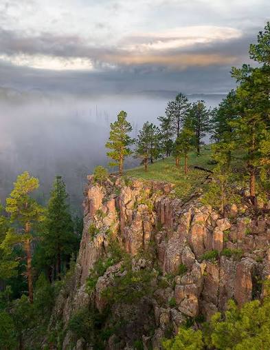 The Unexpected Nature of Arizona | Arizona Highways